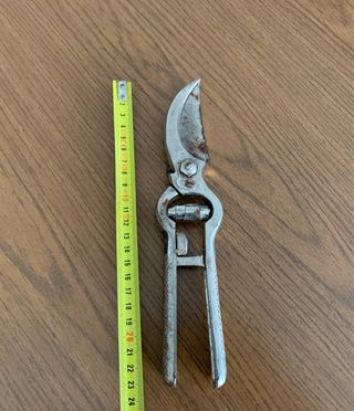 Forbici da potatura Trinciapollo auson