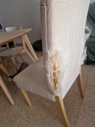 Silla de comedor beige y dorada