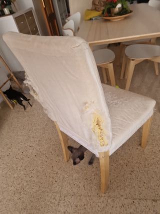 Silla de comedor beige y dorada