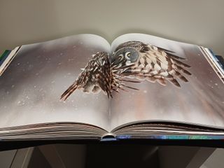 La forza e l'energia del mondo in immagini