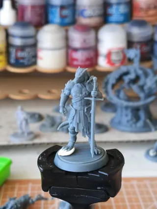 Miniatura 32mm Guerriero