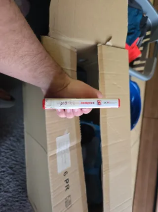 Pokemon Rubino Omega 3DS