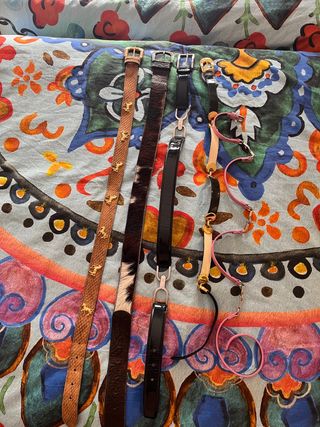 Lote 5 Cinturones Mujer Variados