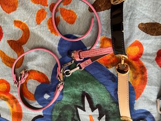 Lote 5 Cinturones Mujer Variados