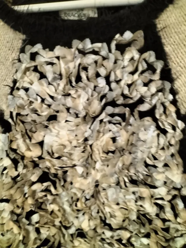 Jersey de lana Molly Bracken blanco y negro