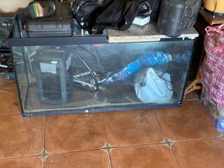 Pecera grande con filtro