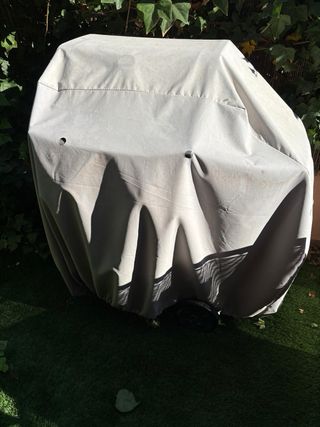 Barbacoa Weber Grigio