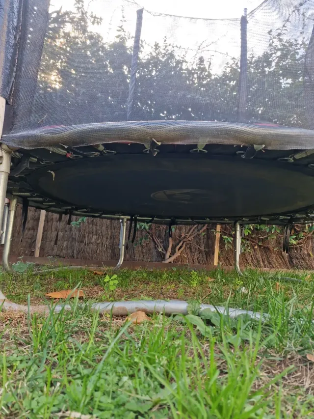 Cama elastica Toy Sport con red de seguridad