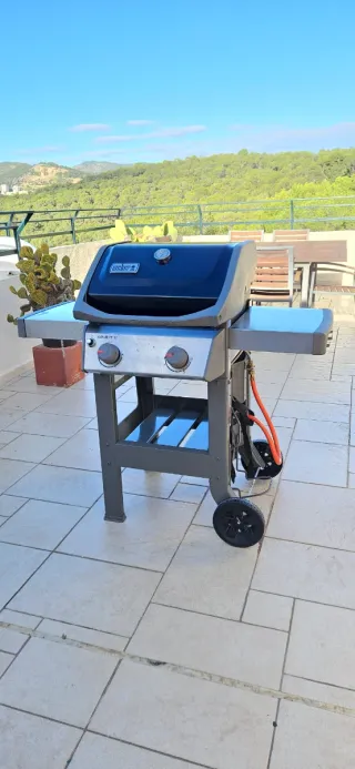 Barbacoa a gas Weber Spirit II E-210