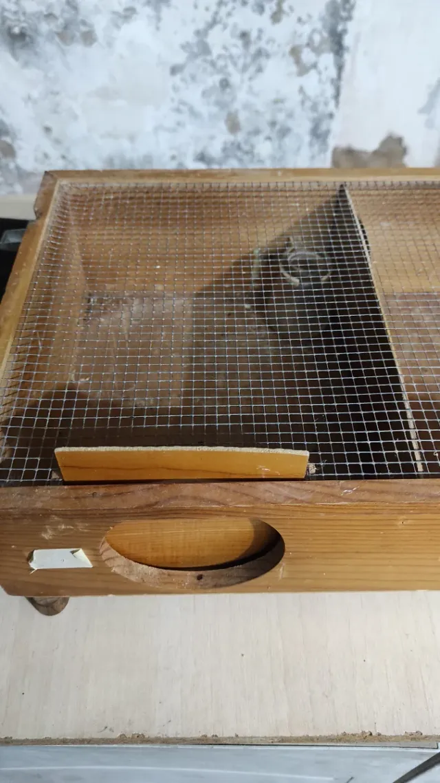 Transportín de madera para mascotas