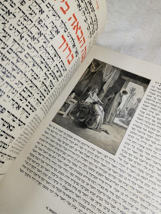 Campioni di Tipografia Ebraica e Giudaica Berthold