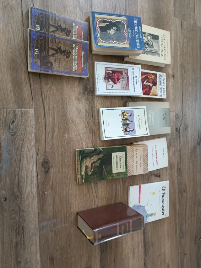 Libros de literatura francesa