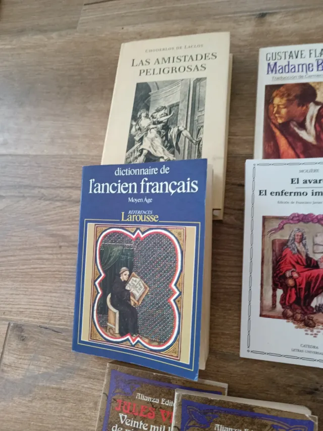 Libros de literatura francesa