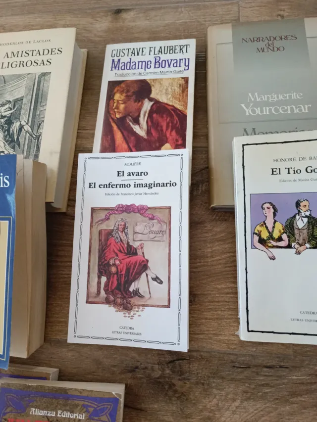 Libros de literatura francesa