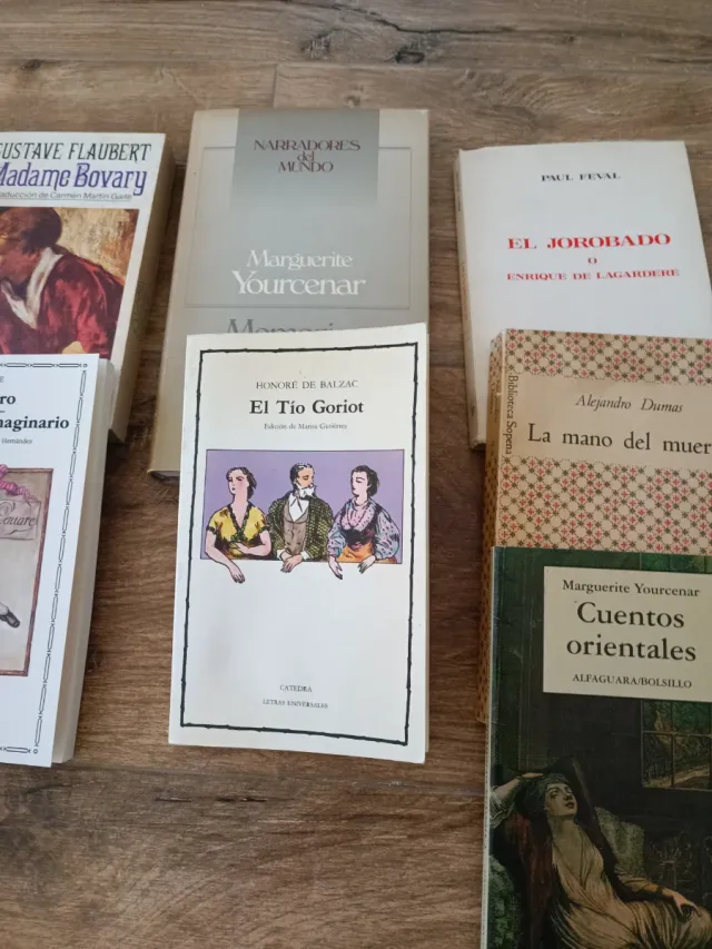 Libros de literatura francesa