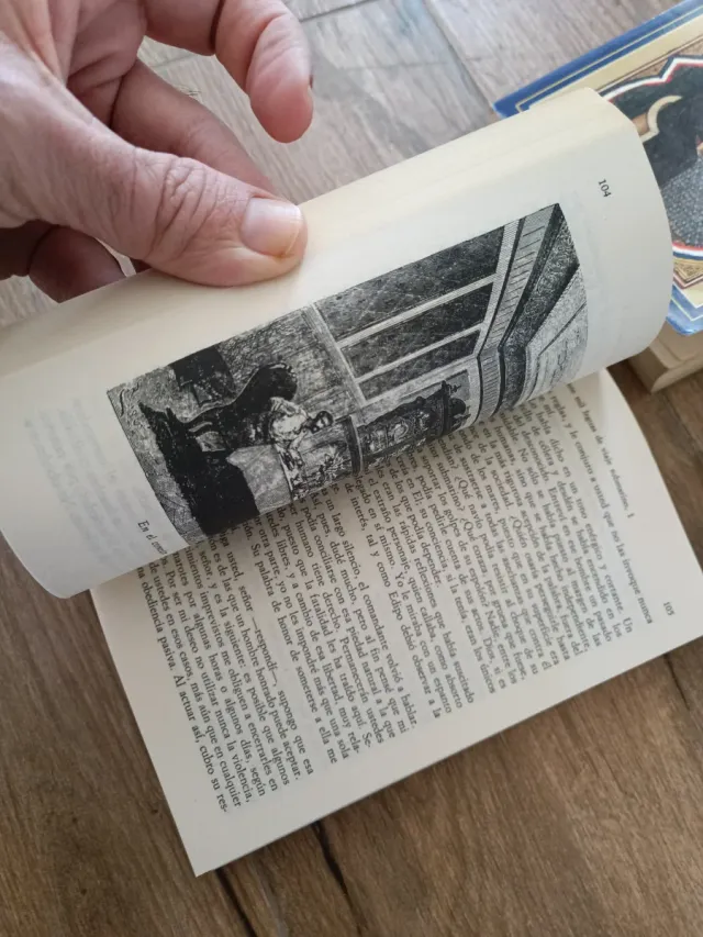 Libros de literatura francesa