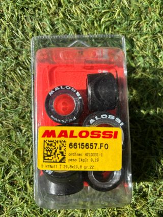 Rodillos Malossi 22g BMW c650