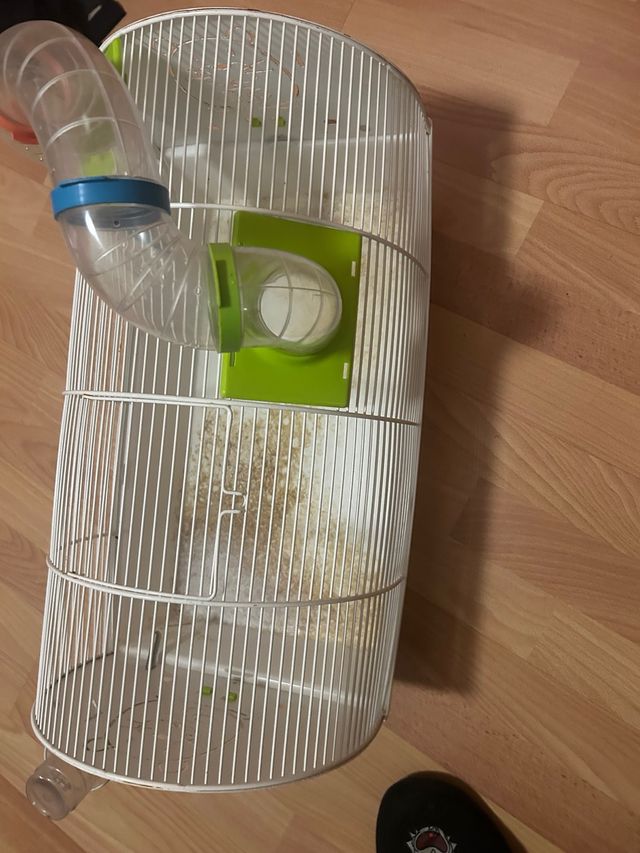 Jaula para roedores con túnel