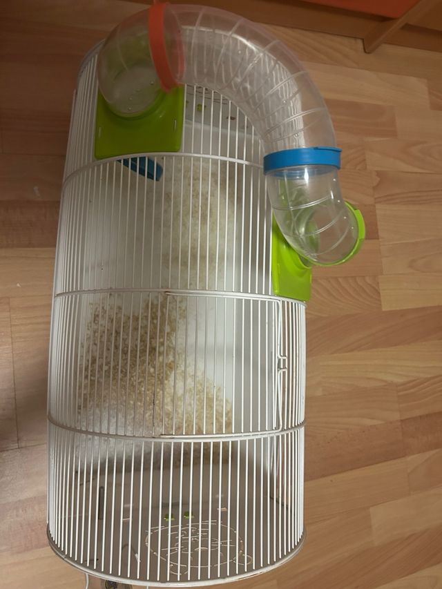 Jaula para roedores con túnel