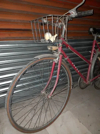 Bicicletas Clásicas: BH y Orbea