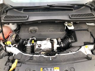 Ford Kuga 1.5 TDCi 120cv