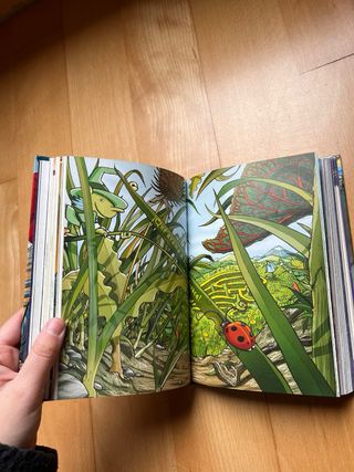 En El Reino De La Fantasia