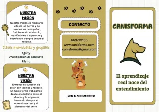 Adiestramiento Canino