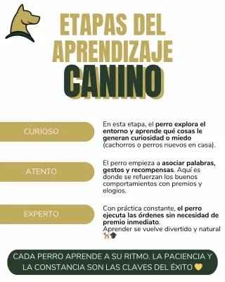 Adiestramiento Canino