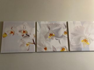 Conjunto 3 cuadros orquídeas blancas