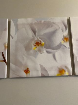 Conjunto 3 cuadros orquídeas blancas