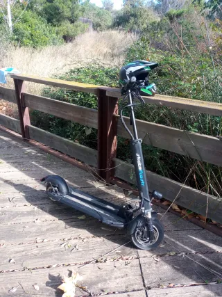 Patinete Eléctrico Scooter Flash