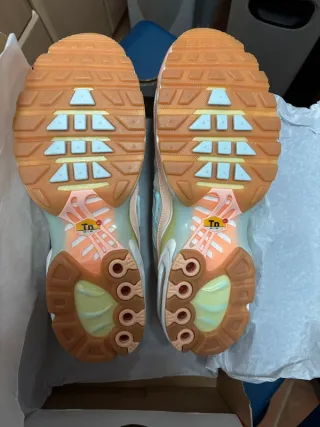 Nike Air Max Plus Crimson Tint