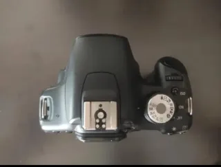 Canon 500D solo cámara