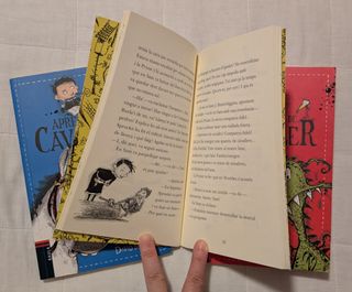 Lote 9 libros juveniles (ed. Catalán)