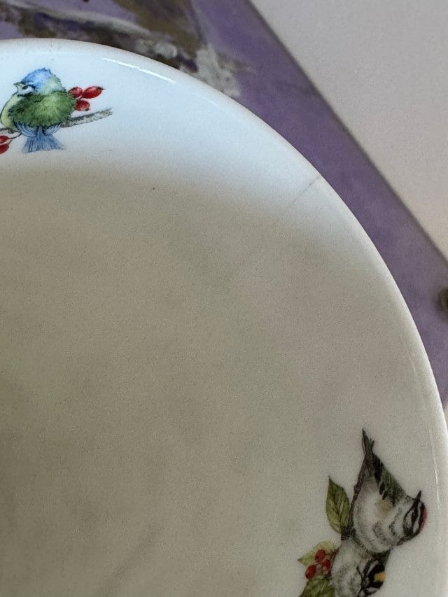 Taza de colección con diseño de aves y ardilla