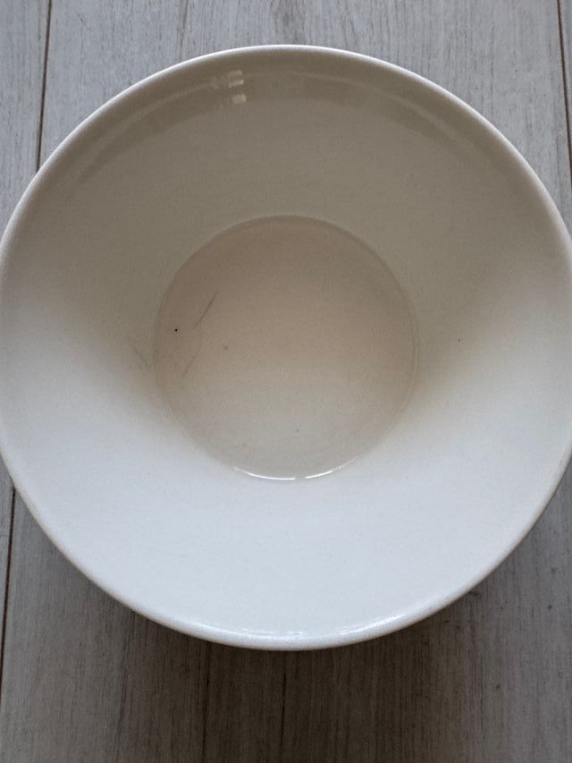 Taza de colección con diseño de aves y ardilla