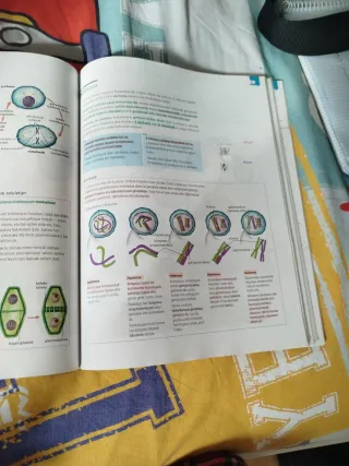 Biologia, Zientziak, Batxilergoa 2