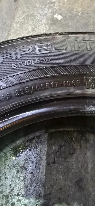 Neumáticos de invierno 225 65 17 106P