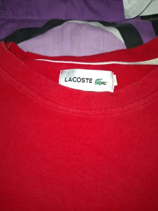Camiseta Lacoste Roja y Blanca