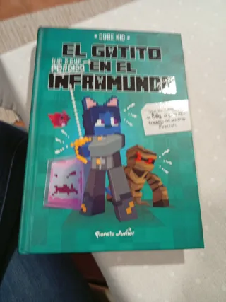 El gatito que sigue perdido en el Inframundo