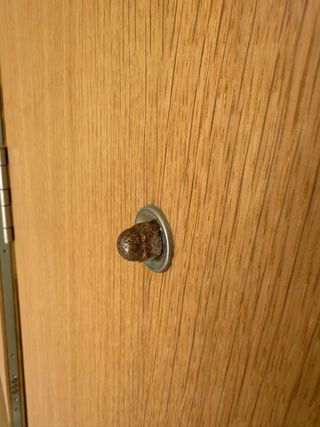 Puertas de entrada roble