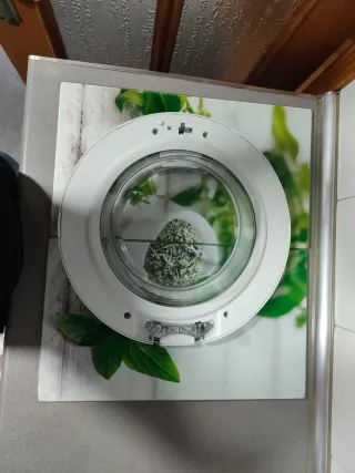 Puerta Lavadora Telefunken 14TLK1005