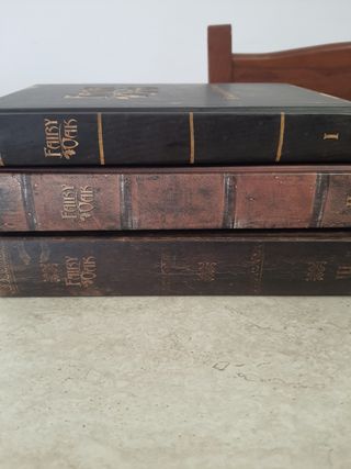 Il segreto delle gemelle. Fairy Oak vol. 1