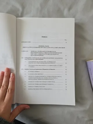 Las discapacidades: orientación e intervención ...