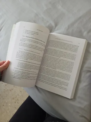 Las discapacidades: orientación e intervención ...