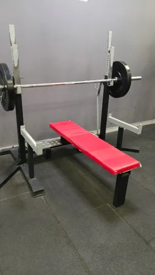 Lote de discos de pesas para gimnasio