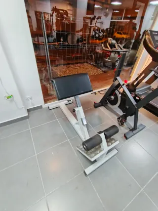 Lote de discos de pesas para gimnasio