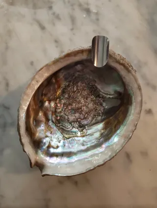 Cenicero Concha Nacarada