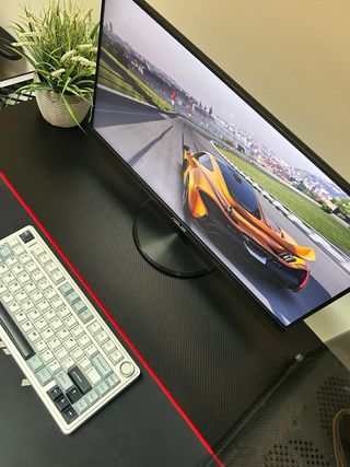 BLACK FRIDAY Monitor ASUS