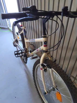 Bicicleta juvenil Number One